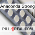 Anaconda Strong 08